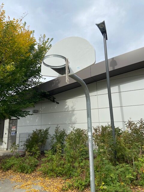 fresh_hoops-1